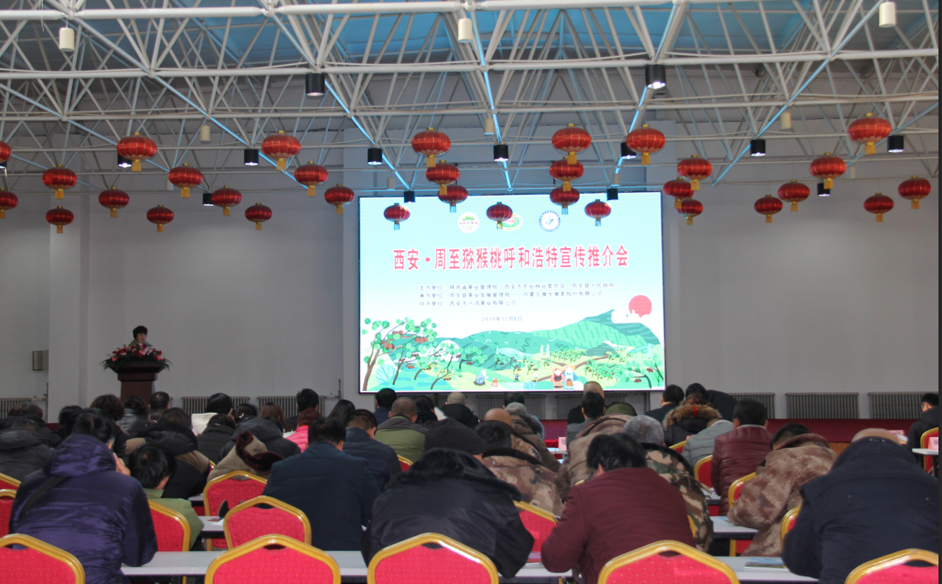 20181210/f63252dce03bd7a2eac9d888fcbef3e7.png 20181210/f63252dce03bd7a2eac9d888fcbef3e7.png